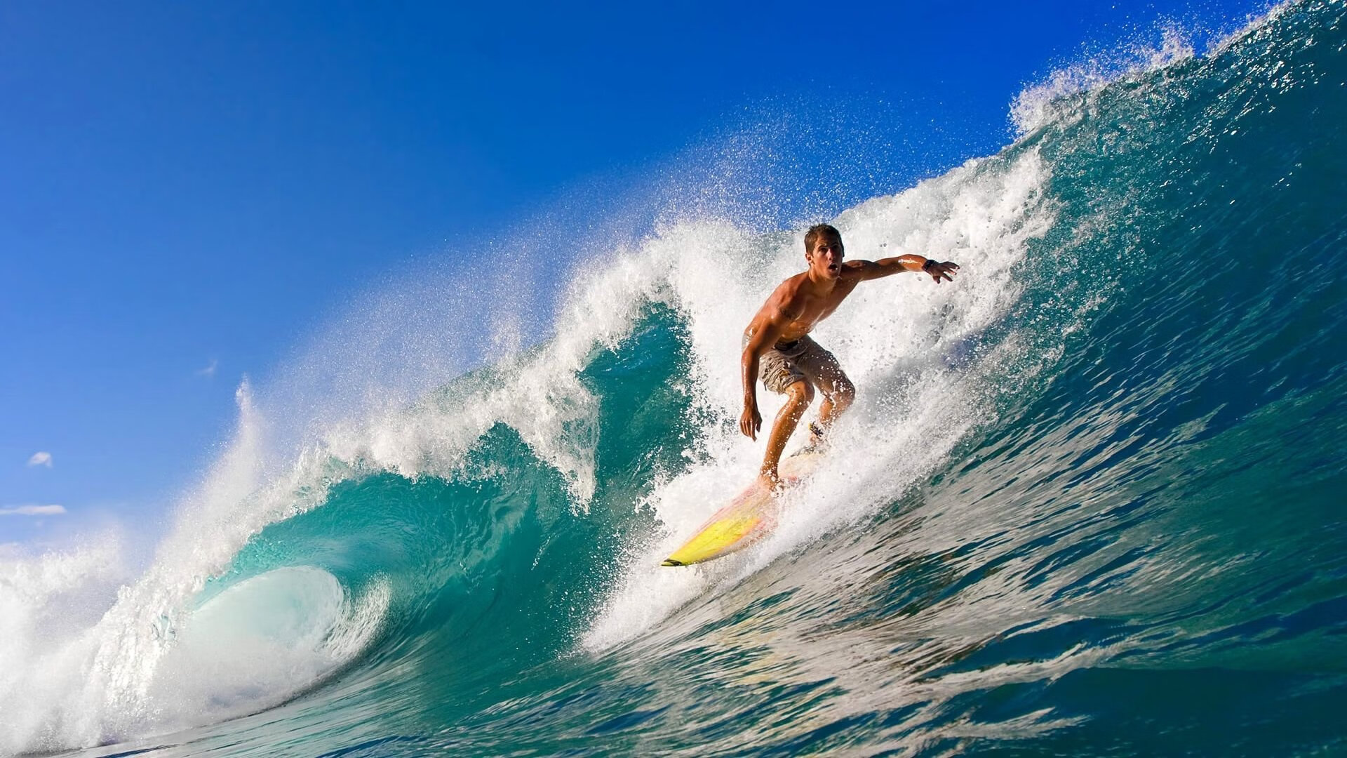 开云体育登入-逆境激战:那些在最困难时逆转胜利的战士们,逆境激战_那些在最困难时逆转胜利的战士们